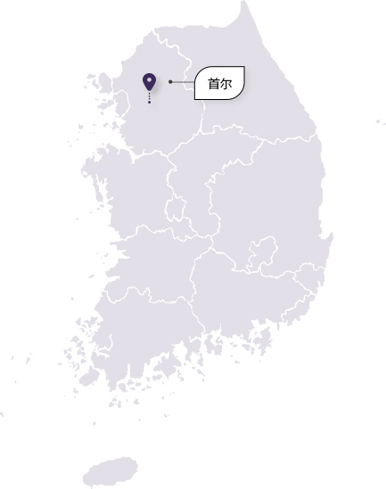 한국 네트워크